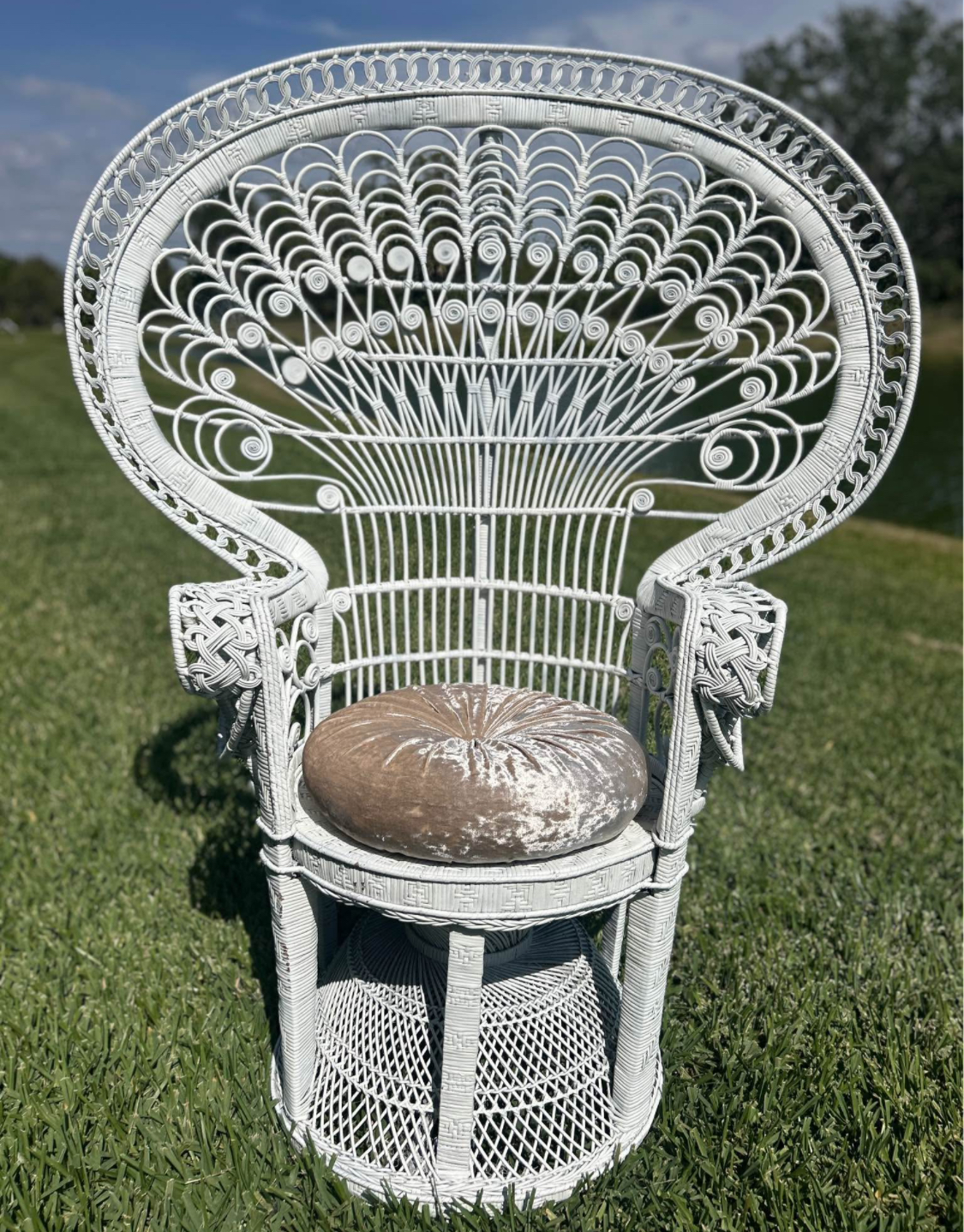 Peacock Chair