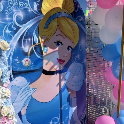 Cinderella Birthday Backdrop 2
