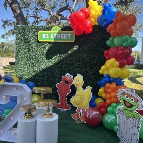 Sesame Street Backdrop