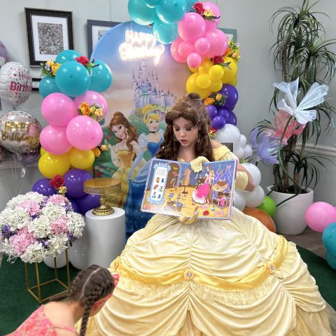 Princess Birthday Party