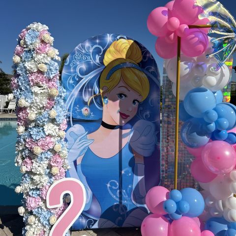 Cinderella Birthday Backdrop 2