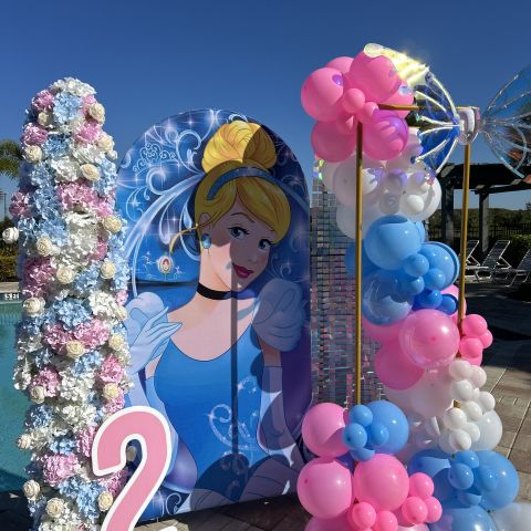 Cinderella Birthday Backdrop 2