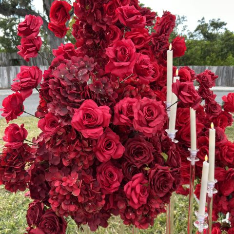 Proposal in the Park 