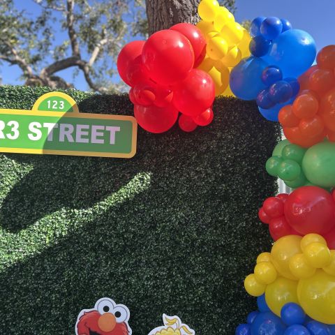 Sesame Street Backdrop