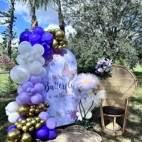 Baby Shower 
