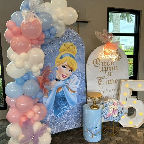 Cinderella Birthday Backdrop