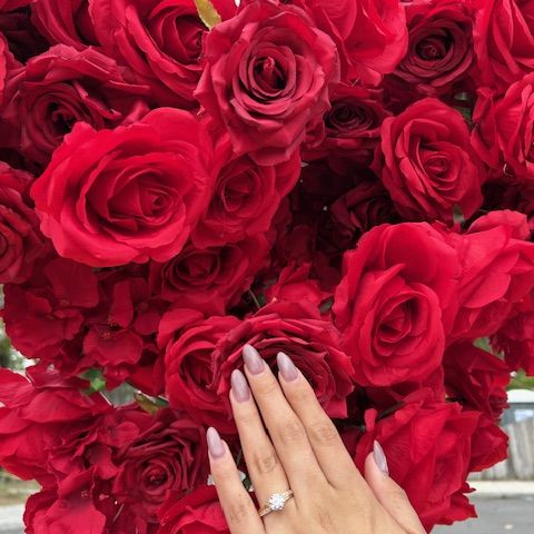 Proposal in the Park 
