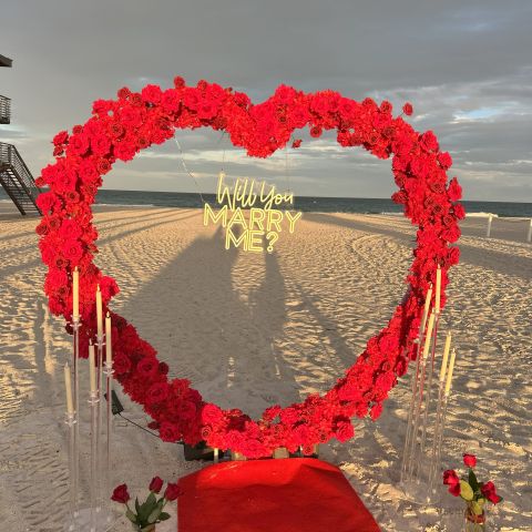 Beach Proposal