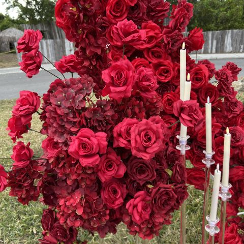 Proposal in the Park 