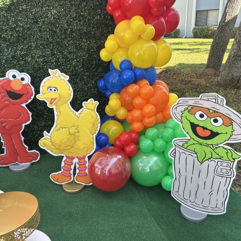 Sesame Street Backdrop